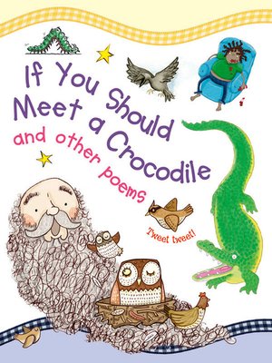 cover image of If You Should Meet a Crocodile